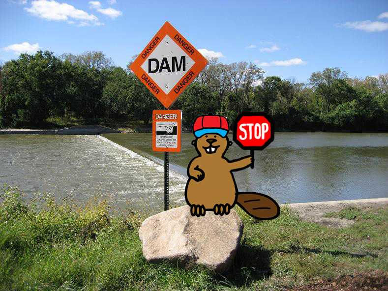 Kid Beaver Stop Sign_0.jpg