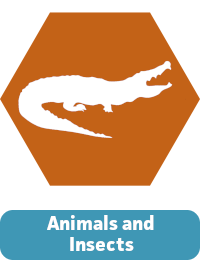 Animals and Insects Icon.PNG